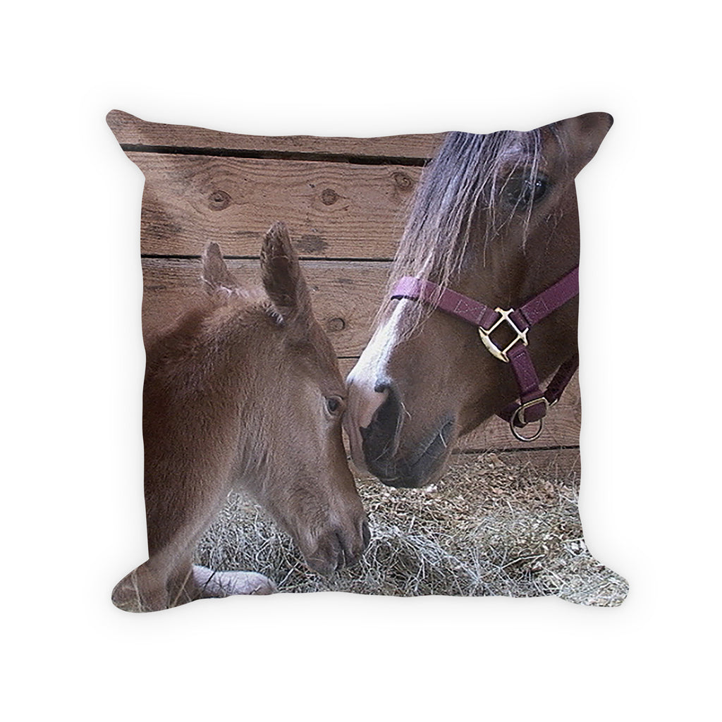 Horse gift decorator pillow mare and foal